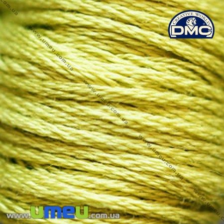 Мулине DMC 0166 Мох, ср.св. (DMC-005812)