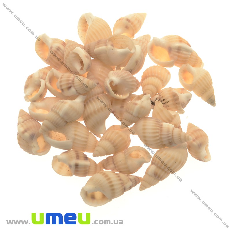 Ракушка декоративная спиральная (DIF-010135)