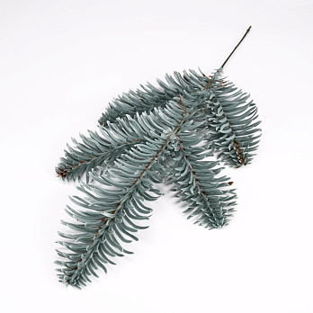 Гілка ялинки Нобіліс одностороння, 20 см, Блакитна (DEC-056236)