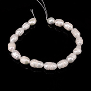 Бусины Жемчуг речной натуральный молочный, Рис, 7-9х10-14 мм (18 см) (BUS-053736)