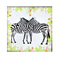 Набор для вышивания нитками, 5D Две зебры, 47х47 см (SXM-061214)