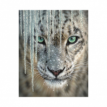 Набор алмазной живописи на подрамнике 30х40 см, Ледяной взгляд (SXM-051389)