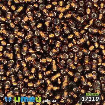 Бисер чешский №314/17110, Коричневый, Блестящий, 10/0 (BIS-005784)