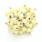 Калина в цукрі, 12 мм, Жовта світла (DIF-059341)