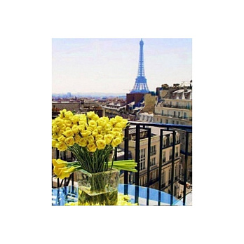 Набор алмазной живописи на подрамнике 50х40 см, Тайная мечта (SXM-052377)