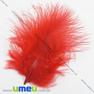 Перья Индейки, Красные, 4-9 см (PER-002770)