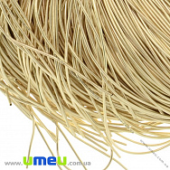 Канітель гладка 1 мм, Золотиста світла (KNT-027959)