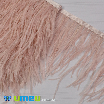 Перья страуса на ленте, 10-15 см, Пудровые (PER-040305)