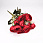 /ru/p55177-buket-roz-33-sm-krasniy/
