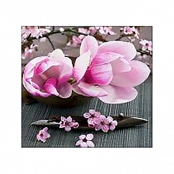 Набор алмазной живописи на подрамнике 30х30 см, Магнолия (SXM-051361)