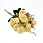 /p55154-buket-roz-35-sm-zheltiy/
