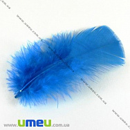 Перья Индейки, Синие, 7-12 см (PER-001769)