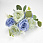 /ru/p62177-buket-roz-s-dobavkami-evkalipta-33-sm/