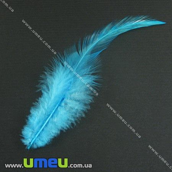 Пір'я Півня, Блакитні, 7-12 см (PER-002615)