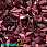 /p37994-payetki-indiya-lodochka-9x6-mm-bordovie/