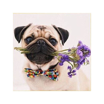 Набор алмазной живописи на подрамнике 30х30 см, Джим (SXM-052425)