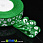 /p19681-lenta-iz-organzi-romashki-25-mm-zelenaya/