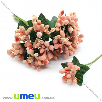 Тичинки на дроті, Персикові (DIF-008424)