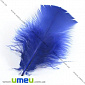 Перья Индейки, Синие (Ультрамарин), 7-12 см (PER-001771)