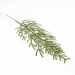 Гілка туї, Зелена, 34 см (DEC-056956)