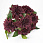 /p62572-buket-georgin-48-sm/