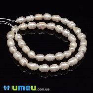 Бусины натуральный речной Жемчуг молочный Рис, 8-10х6-7 мм (BUS-048784)