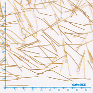 Гвоздики из нерж. стали, 25 мм, Покрытие 18 kt (STL-056248)