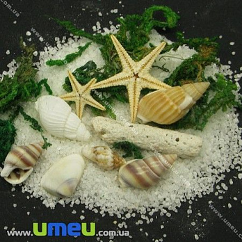 Морський набір для декору (DIF-006752)