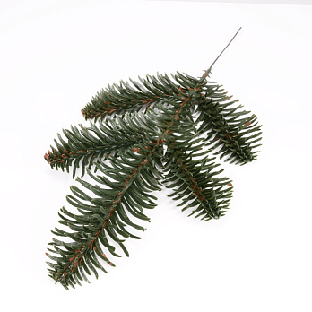 Ветка ели Нобилис односторонняя, 20 см, Зеленая (DEC-056235)
