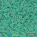 Бисер чешский №658m/38358m, Бирюзовый, Прокрашенный матовый, 10/0 (BIS-005775)