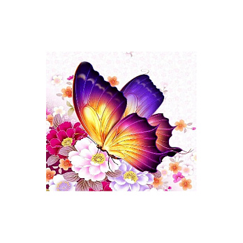 Набор алмазной живописи на подрамнике 30х30 см, Солнечная бабочка (SXM-052412)
