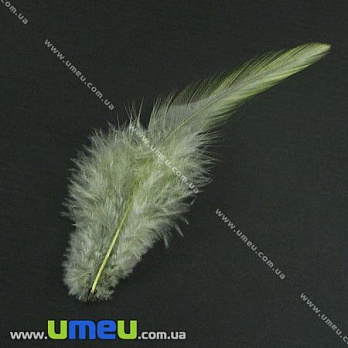 Пір'я Півня, Сірі, 7-12 см (PER-002617)