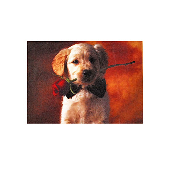 Набір для вишивання нитками, 5D Собачка з трояндою, 57х42 см (SXM-061211)