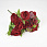 /p57664-buket-roz-32-sm-krasniy/