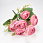 /ru/p62194-buket-pionov-s-romashkami-32-sm/