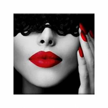 Набор алмазной живописи на подрамнике 30х30 см, Леди Х (SXM-051373)