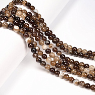 Бусины Агат коричневый, Натур. камень, 6 мм, Круглые (BUS-053937)