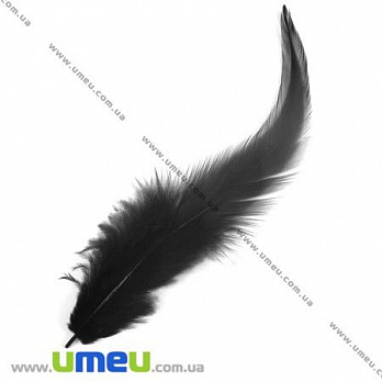 Пір'я Півня, Чорні, 7-12 см (PER-002611)