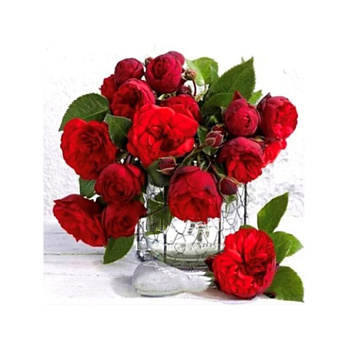 Набор алмазной живописи на подрамнике 30х30 см, Красные розы (SXM-059083)