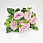 /p57649-buket-roz-s-dobavkami-evkalipta-30-sm-rozoviy/