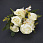 /ru/p62185-buket-pionov-s-romashkami-32-sm/