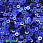/p37590-payetki-indiya-kruglie-ploskie-2-5-mm-sinie/