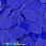 /p51180-payetki-indiya-treugolnik-15x13-mm-sinie/