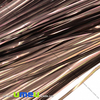 Біть плоска 2 мм, Коричнева (KNT-037343)