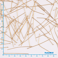 Гвоздики из нерж. стали, 45 мм, Покрытие 18 kt (STL-056250)