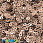 /p37540-payetki-indiya-kruglie-ploskie-2-5-mm-bronzovie/
