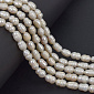 Бусины натуральный речной  Жемчуг молочный, 7-9 мм (BUS-058134)