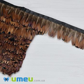 Перья фазана на ленте, 3-4 см, Коричневые натуральные (PER-038977)
