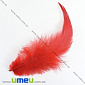 Перья Петуха, Красные, 7-12 см (PER-002613)