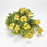 /p59313-buket-margaritok-36-sm/